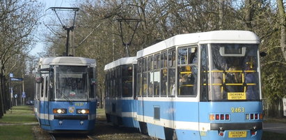 Powalone przez wiatr drzewo zatrzymało tramwaje