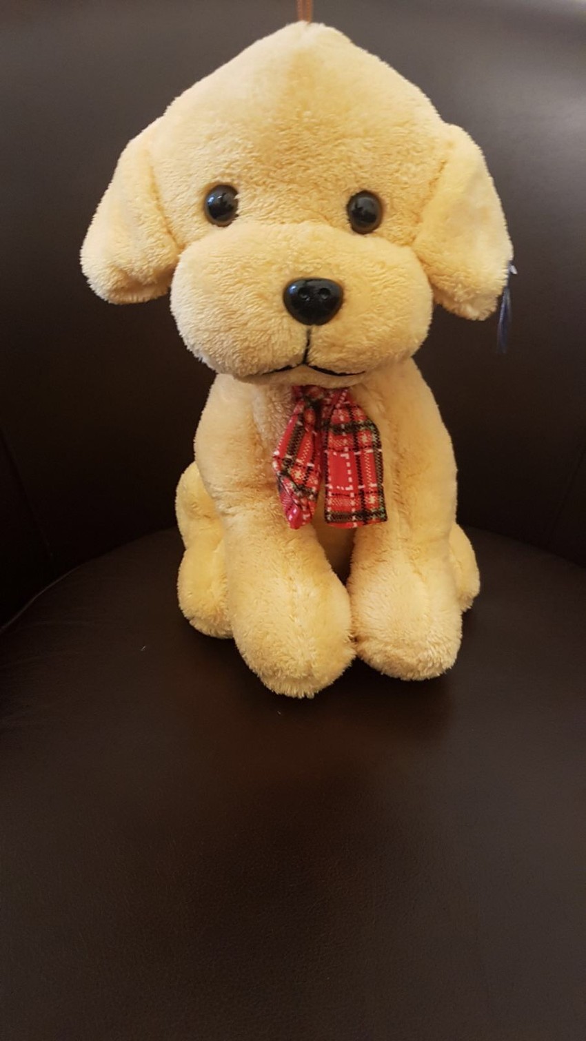 Plišana kuca za predsednika Srbije