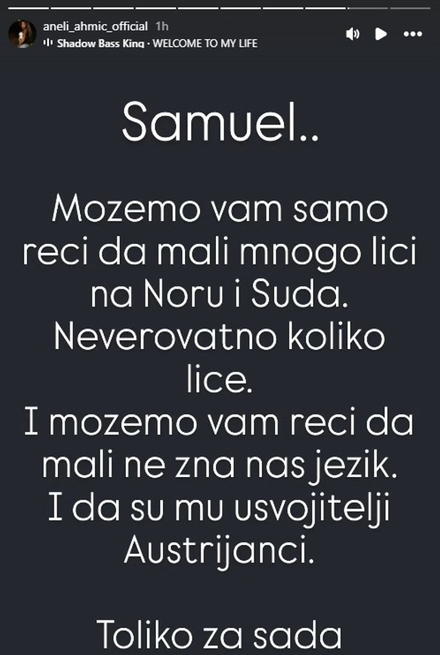 Aneli Ahmić (Foto: Instagram/aneli_ahmic_official)