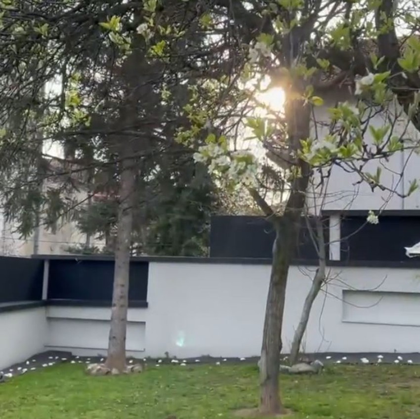 Imanje Radoša Bajića