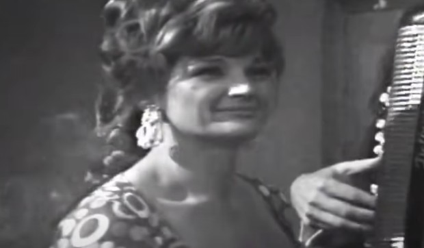 Silvana Armenulić