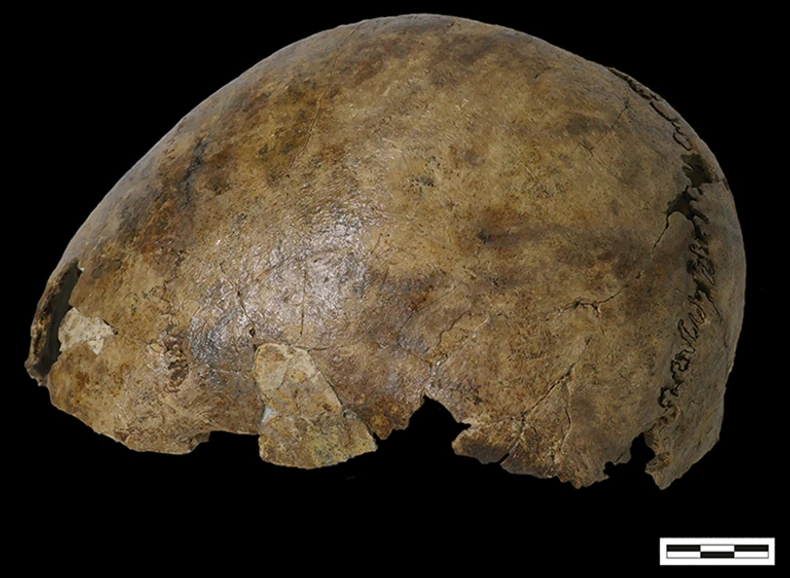 Lobanja je iz galo-rimskog perioda