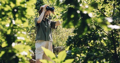 Jane Goodall kilencvenedik születésnapja magyar divatkollekciót ihletett