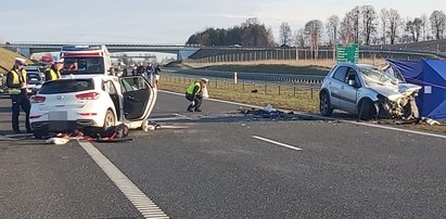 Potworna tragedia na S7. Totalna bezmyślność kierowcy. Nie żyją dwie osoby