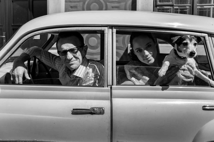 'Pan T.' w kinach od 25 grudnia 2019 roku