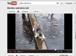 Oto najsprytniejszy kot świata! I jaki ostrożny!