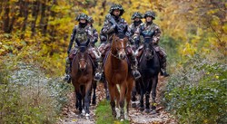 Kawaleria na czołgi? W tej zachodniej armii jeźdźcy wciąż idą do boju