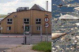 Zostali oskarżeni o zatrucie Odry. "Podejmiemy kroki prawne"