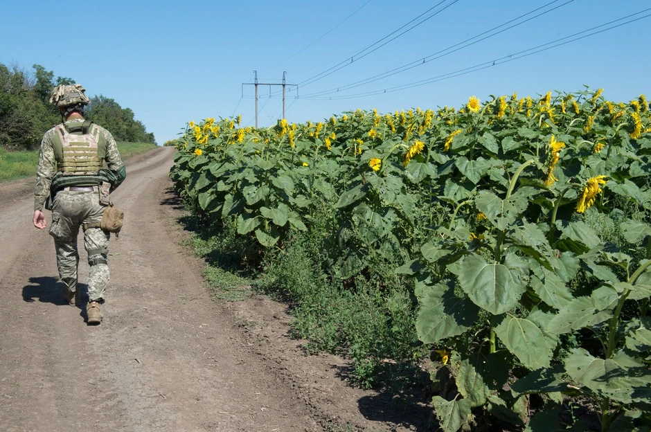 Ukrajinski vojnik kod polja u gradiću Granitne