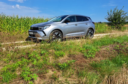 Czy słusznie rezygnujemy z diesli? Opel sprawia, że mam wątpliwości