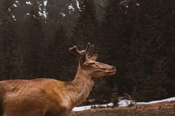 Nieodpowiedzialne zachowanie turystów w Tatrach. Miało być jak w bajce, a był szok