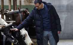 Premier wzniósł toast mlekiem w oborze. 'Mówiłem gospodarzowi, że byłem kiedyś wprawny w dojeniu krówek'