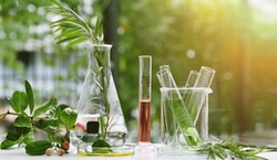 Wyjątkowo trudny quiz z biologii. Tylko prawdziwy mistrz zdobędzie 10/10!