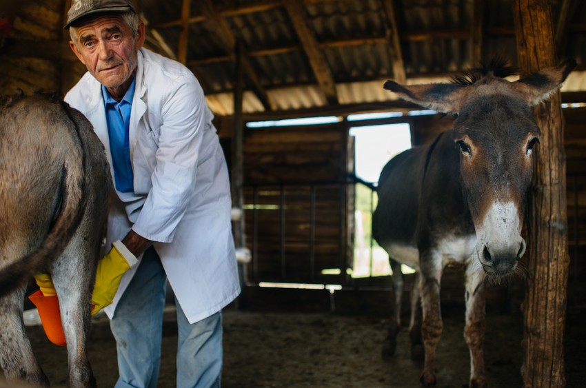 Svi se slažu da život na selu nije lak; Ilustracija
