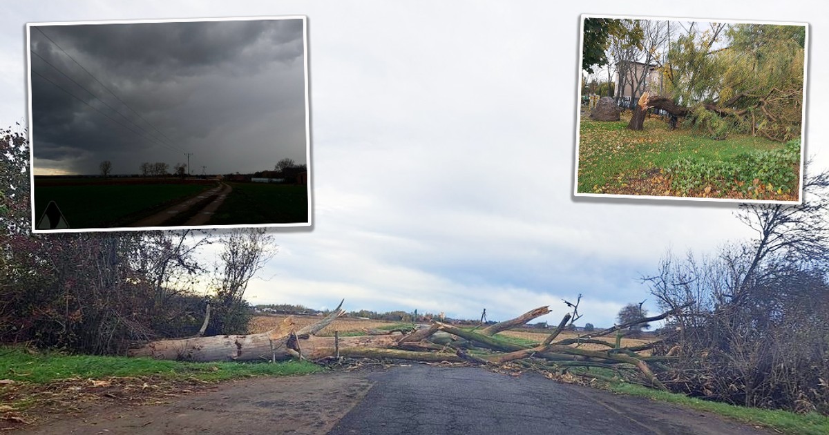 Potężne wichury przeszły przez całą Polskę. Powalone drzewa, zerwane dachy i paraliż miast