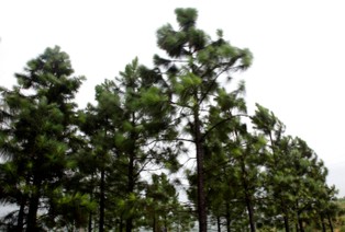 Skarb Państwa wybrał inwestorów do prywatyzacji uzdrowiska Horyniec