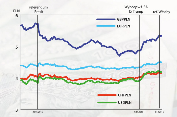Kurs złotego do głównych walut od czerwca 2016 r.