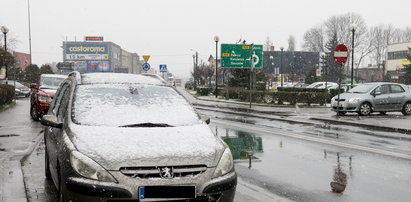 Śnieżyca na Śląsku