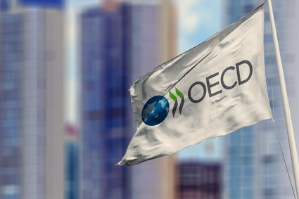 OECD tnie prognozy globalnego wzrostu. Hamowanie gospodarek będzie mocniejsze