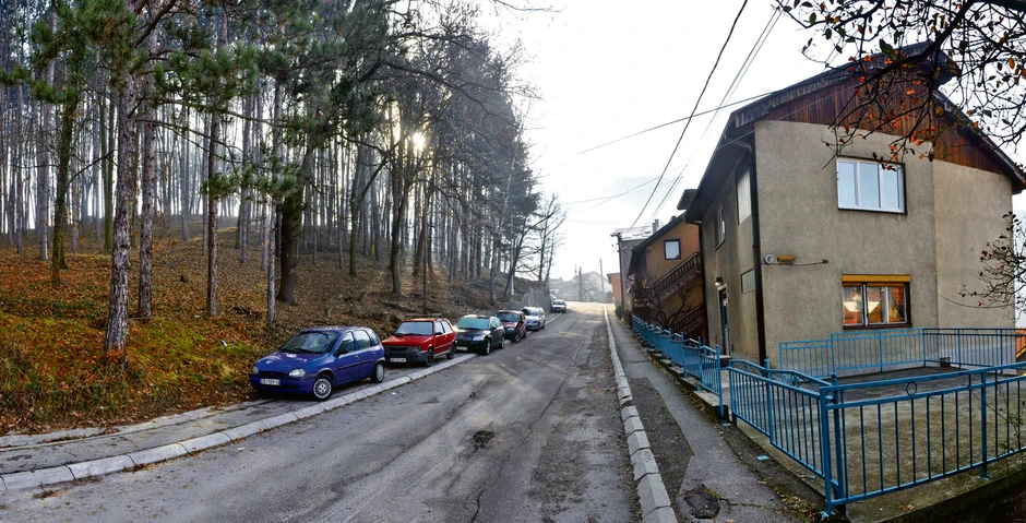 Deo šume za koji se građani boje da će biti posečen, a iza koga je groblje