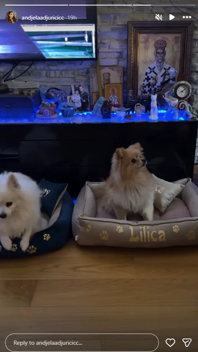 ZAVIRITE U DOM ANĐELE I GASTOZA: Bivša zadrugarka pokazala ogromnu jelku, poseban kutak imaju IKONE I SLIKE (FOTO)