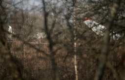 Materiały dot. organizacji wizyty w Smoleńsku bez znaczenia dla cywilnego śledztwa