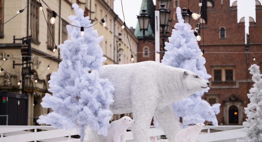 Niedźwiedzie polarne będą towarzyszyć ślizgającym się po lodzie