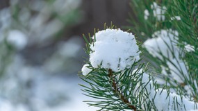 Pierwsze prognozy na Boże Narodzenie 2025. Czy pogoda nas zaskoczy?