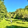 Košutnjak 
