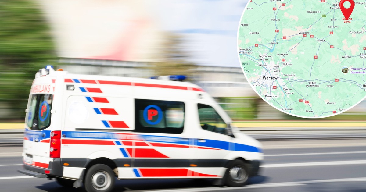 Bernardyn zaatakował 11-latkę wracającą ze szkoły. Dziewczynka trafiła do szpitala