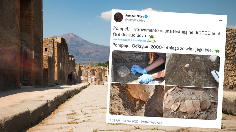 Żółw i jego jajo zostało znalezione przez archeologów w Pompejach (screen: Twitter.com/pompeii_sites)