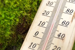 Padł rekord temperatury w Polsce. Tak ciepło w marcu nie było od 50 lat