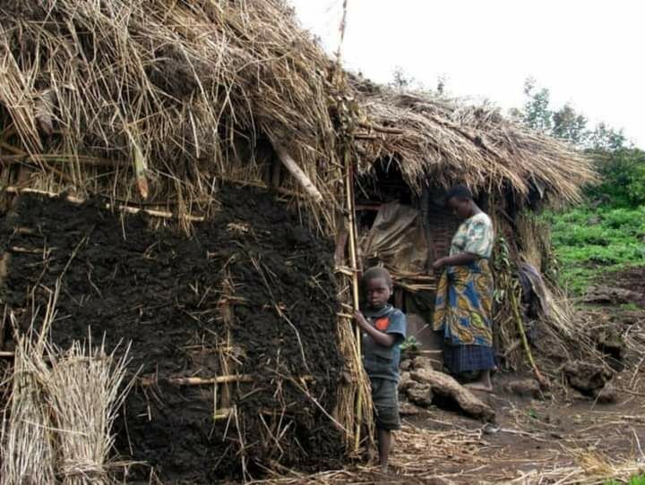 Batwa na nowych terenach