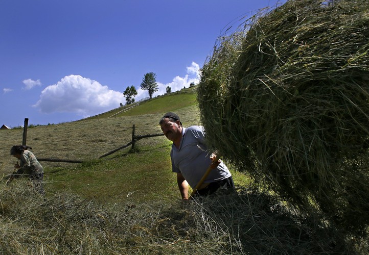 Krajobrazy w wiosce Magura w rumuńskiej Transylwanii