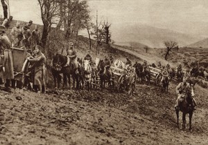 Veliki rat, Prvi svetski rat