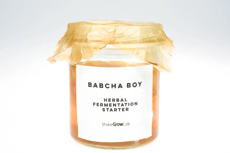 Babcha Boy, nowy projekt MakeGrowLab, twórców materiału SCOBY