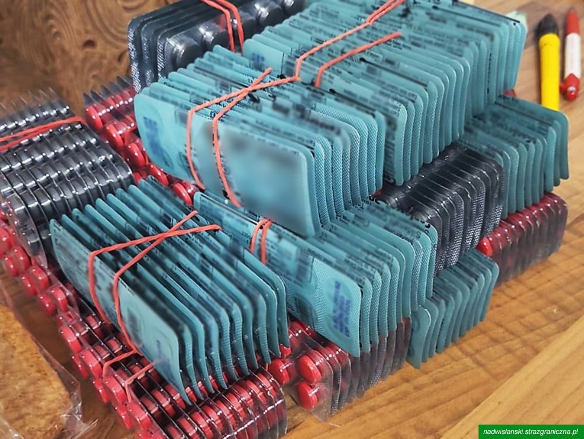 Nielegalnie przechowywali i dystrybuowali leki na potencję