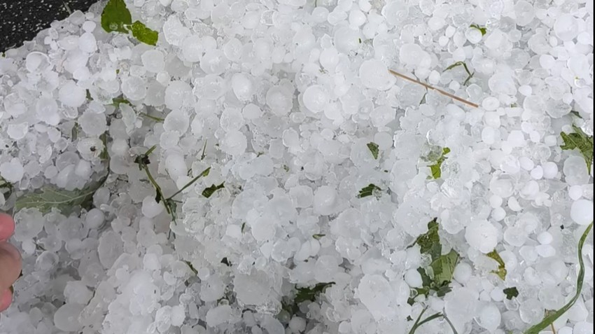 Nevreme u Novom Sadu