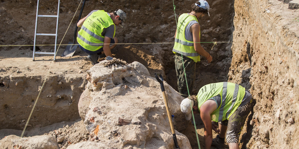 Archeolodzy odkryli ludzkie szczątki na budowie S17 