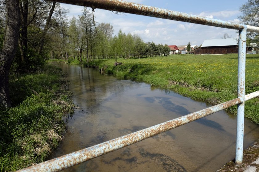 Śląsk: Ciało noworodka w rzece Krztynia