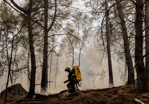 Požari u Francuskoj