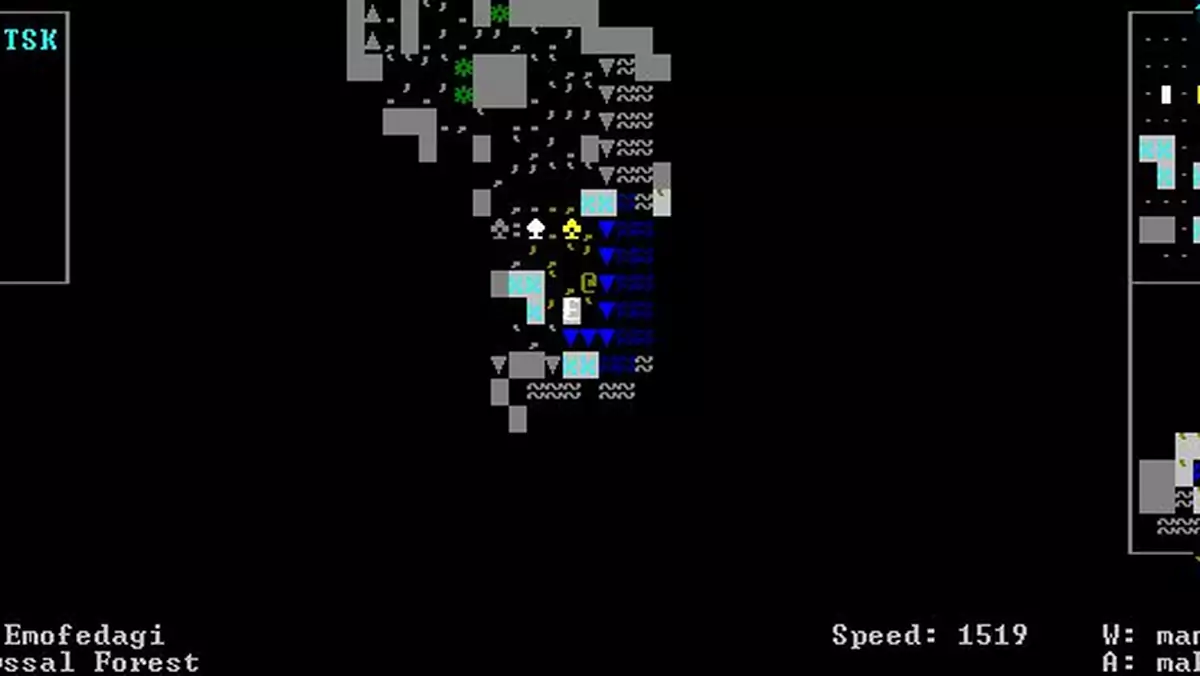 Galeria Dwarf Fortress