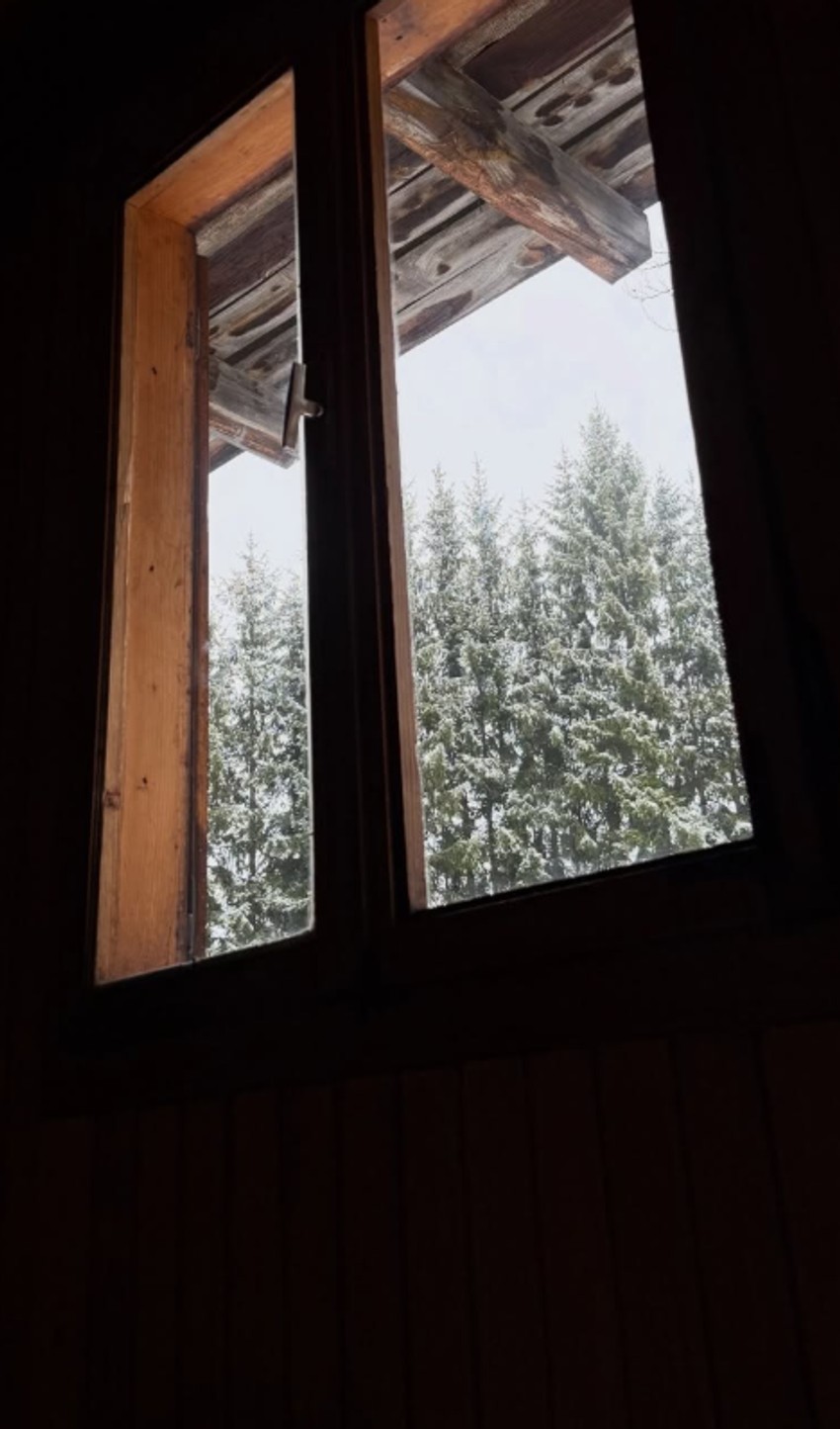 Maša Memedović na Tari