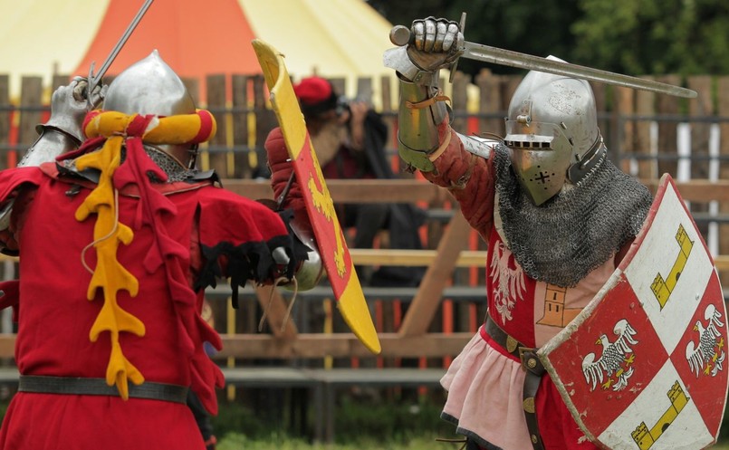 Tegoroczna inscenizacja rozpoczęła się od scen napadu i spalenia przygranicznej wsi przez Krzyżaków. Potem przy zgliszczach pojawili się polscy rycerze. Na wieść o tym, co dzieje się na pograniczu, król rozesłał wici i wezwał rycerzy na wyprawę wojenną.