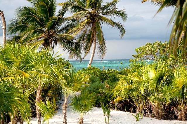 Kora wypoczywała w nadmorskim kurorcie Meksyku