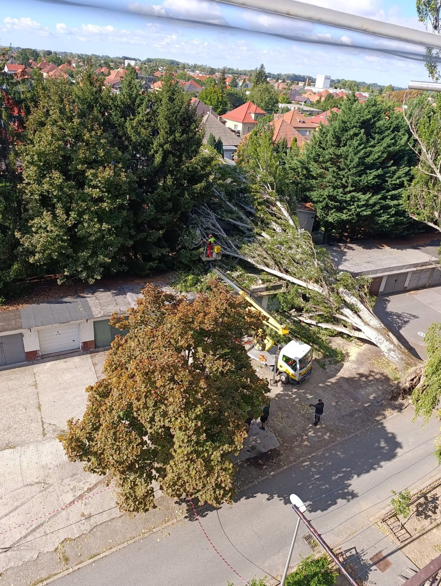 Strom zničil autá aj neďaleké garáže.