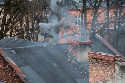 Polacy zbierają zapasy na zimę. Zaczynają wyrzucać mniej śmieci