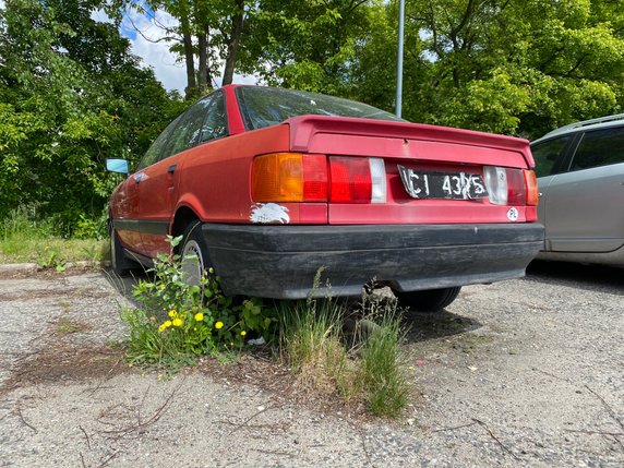 Czarne tablice - jakie auta wciąż je mają?