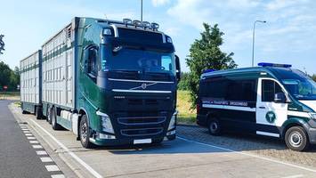 Kontrolerzy musieli zatrzymać mu prawo jazdy. Wysłali go na "przymusowy urlop"