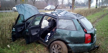 Makabra. Kierowca jest w stanie krytycznym, jego pies nie żyje